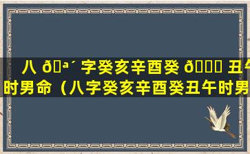 八 🪴 字癸亥辛酉癸 🐅 丑午时男命（八字癸亥辛酉癸丑午时男命好不好）